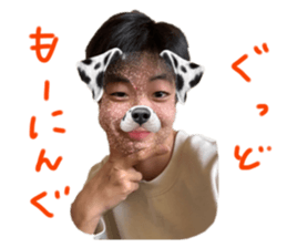 512733448
