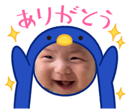 512733708