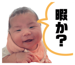 512733726