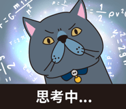 512753209