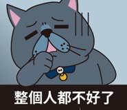512753217