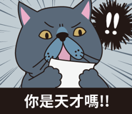 512753230