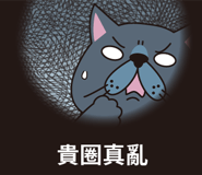 512753238
