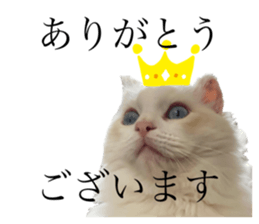 512795733