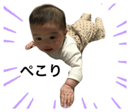 512822037