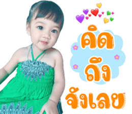 512843884