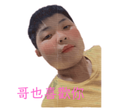 512894336