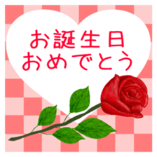 512903838