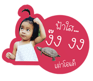 51293327