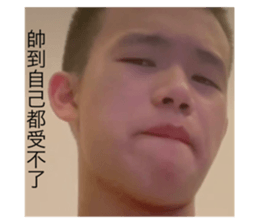 512934219