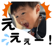 512955640