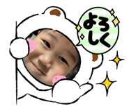 512955645