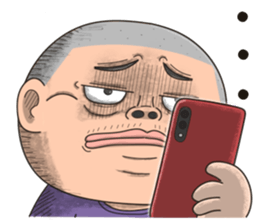 512969733