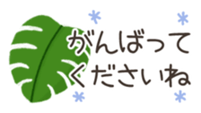 512972951