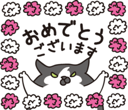 51302596