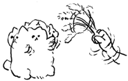 513188854