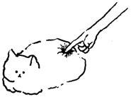 513188855