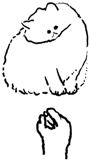 513188856
