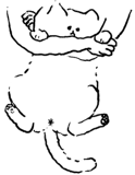 513188870