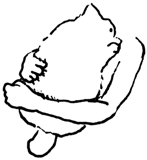 513188872