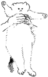 513188874