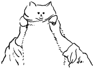 513188875
