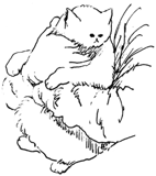 513188877