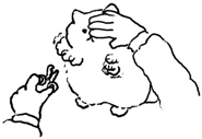 513188879