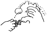513188880