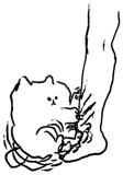 513188889
