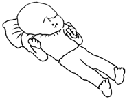 513188893