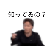513246419