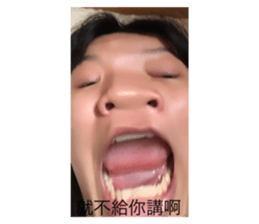 513263617