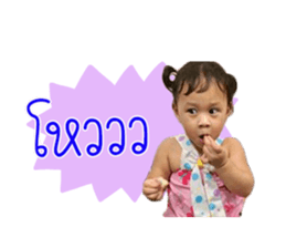 51329010