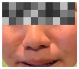 513298356