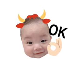 513351669