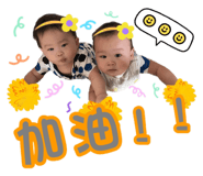 513448258