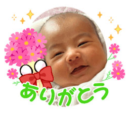 513451286