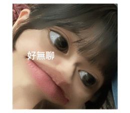 513453216