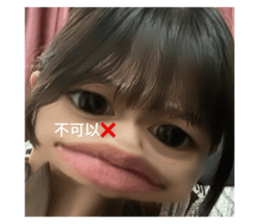 513453217
