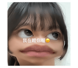 513453221