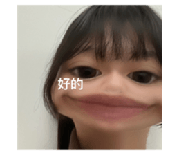 513453223