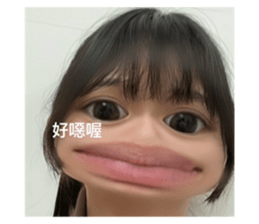 513453228