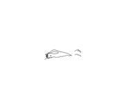 513467887