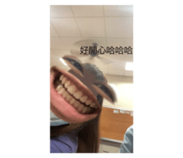 513513680