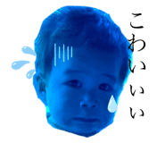 513623991