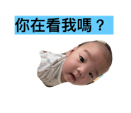 513625750