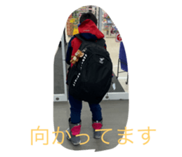 513667877