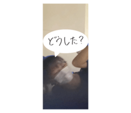 513675176