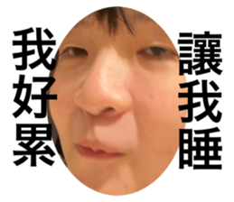 513685814